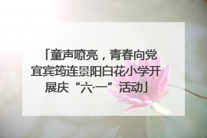 童声嘹亮，青春向党 宜宾筠连景阳白花小学开展庆“六·一”活动