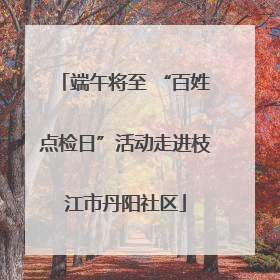 端午将至 “百姓点检日”活动走进枝江市丹阳社区
