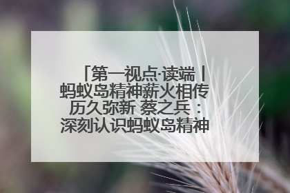 第一视点·读端丨蚂蚁岛精神薪火相传历久弥新 蔡之兵：深刻认识蚂蚁岛精神的“精气神”