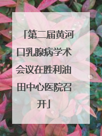 第二届黄河口乳腺病学术会议在胜利油田中心医院召开
