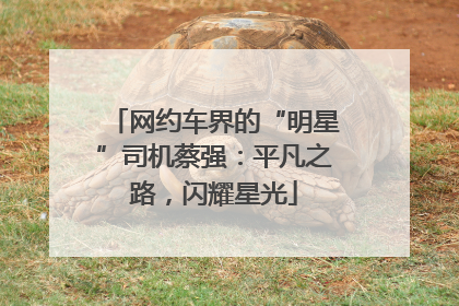 网约车界的“明星”司机蔡强：平凡之路，闪耀星光