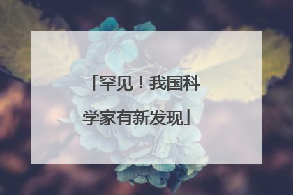 罕见！我国科学家有新发现