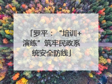 罗平：“培训+演练”筑牢民政系统安全防线