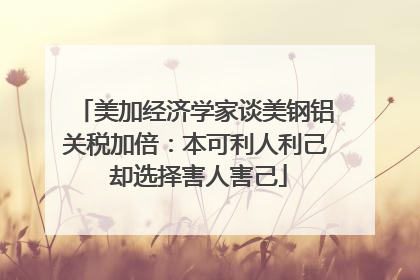 美加经济学家谈美钢铝关税加倍：本可利人利己 却选择害人害己