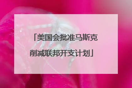 美国会批准马斯克削减联邦开支计划