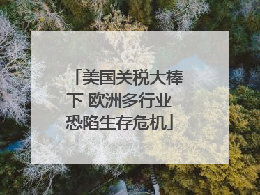 美国关税大棒下 欧洲多行业恐陷生存危机