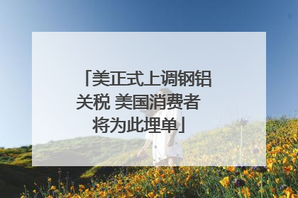 美正式上调钢铝关税 美国消费者将为此埋单