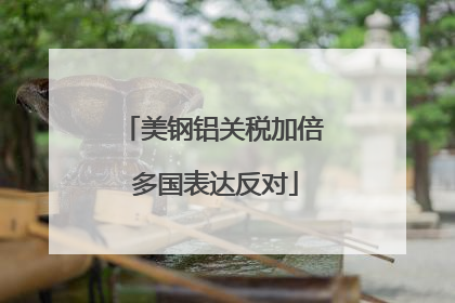 美钢铝关税加倍 多国表达反对