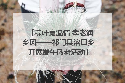 粽叶裹温情 孝老润乡风——祁门县溶口乡开展端午敬老活动