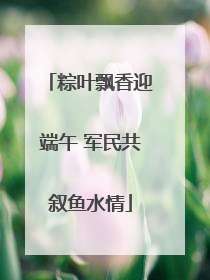 粽叶飘香迎端午 军民共叙鱼水情