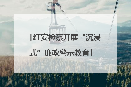 红安检察开展“沉浸式”廉政警示教育