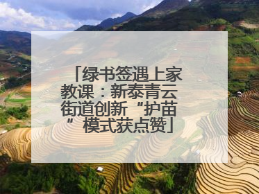 绿书签遇上家教课：新泰青云街道创新“护苗”模式获点赞