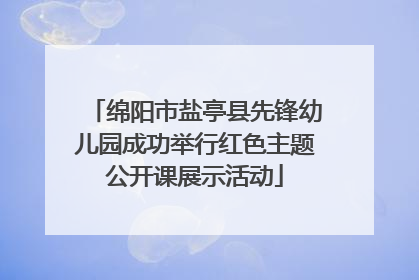 绵阳市盐亭县先锋幼儿园成功举行红色主题公开课展示活动
