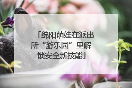 绵阳萌娃在派出所“游乐园”里解锁安全新技能