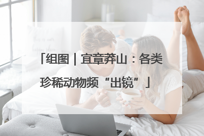 组图｜宜章莽山：各类珍稀动物频“出镜”
