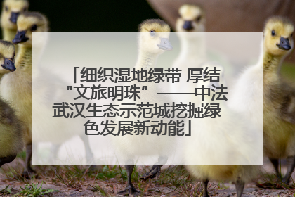 细织湿地绿带 厚结“文旅明珠”——中法武汉生态示范城挖掘绿色发展新动能
