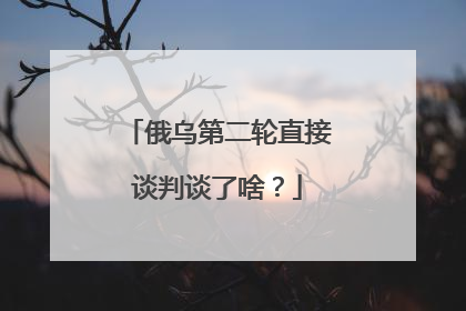 俄乌第二轮直接谈判谈了啥？