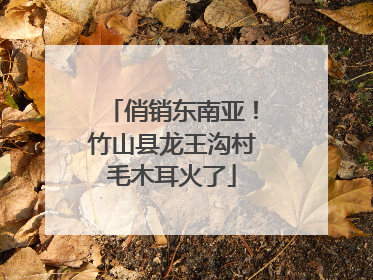 俏销东南亚！竹山县龙王沟村毛木耳火了