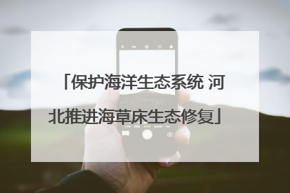 保护海洋生态系统 河北推进海草床生态修复