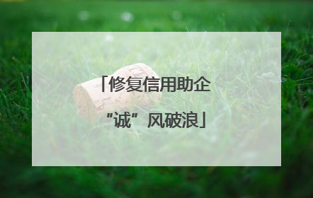 修复信用助企“诚”风破浪