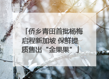 侨乡青田首批杨梅启程新加坡 保鲜提质售出“金果果”
