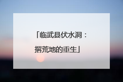 临武县伏水洞：撂荒地的重生