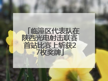 临潼区代表队在陕西光电射击联赛首站比赛上斩获27枚奖牌