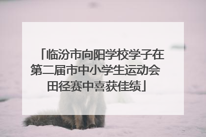 临汾市向阳学校学子在第二届市中小学生运动会田径赛中喜获佳绩