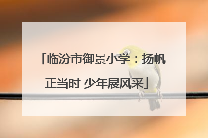 临汾市御景小学：扬帆正当时 少年展风采