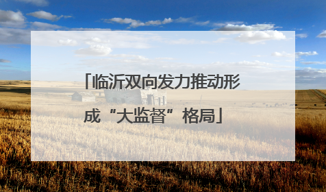 临沂双向发力推动形成“大监督”格局