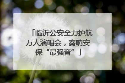 临沂公安全力护航万人演唱会，奏响安保“最强音”