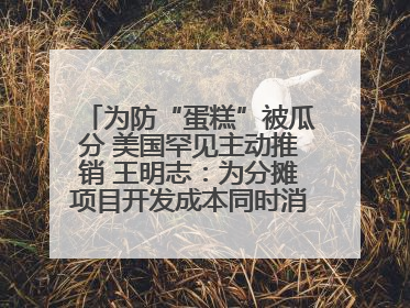 为防“蛋糕”被瓜分 美国罕见主动推销 王明志：为分摊项目开发成本同时消除潜在威胁
