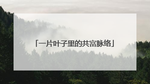 一片叶子里的共富脉络