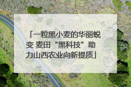 一粒黑小麦的华丽蜕变 麦田“黑科技”助力山西农业向新提质