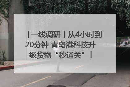 一线调研丨从4小时到20分钟 青岛港科技升级货物“秒通关”