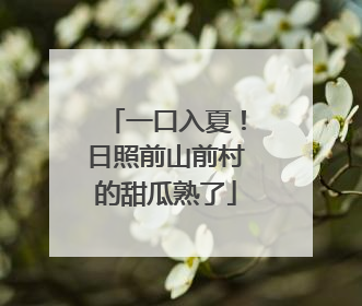 一口入夏！日照前山前村的甜瓜熟了