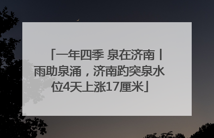 一年四季 泉在济南丨雨助泉涌，济南趵突泉水位4天上涨17厘米