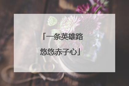 一条英雄路 悠悠赤子心