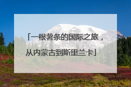 一根薯条的国际之旅，从内蒙古到斯里兰卡