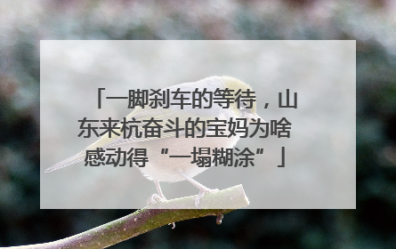 一脚刹车的等待，山东来杭奋斗的宝妈为啥感动得“一塌糊涂”