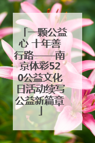 一颗公益心 十年善行路——南京体彩520公益文化日活动续写公益新篇章