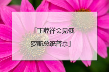 丁薛祥会见俄罗斯总统普京