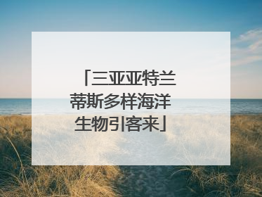 三亚亚特兰蒂斯多样海洋生物引客来