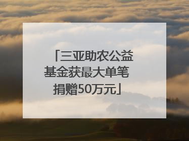 三亚助农公益基金获最大单笔捐赠50万元