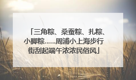 三角粽、桑蚕粽、扎粽、小脚粽……周浦小上海步行街刮起端午浓浓民俗风