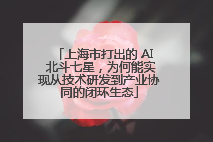 上海市打出的 AI 北斗七星，为何能实现从技术研发到产业协同的闭环生态