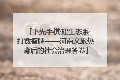 下先手棋·建生态系·打数智牌——河南文旅热背后的社会治理答卷