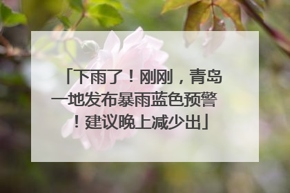 下雨了！刚刚，青岛一地发布暴雨蓝色预警！建议晚上减少出