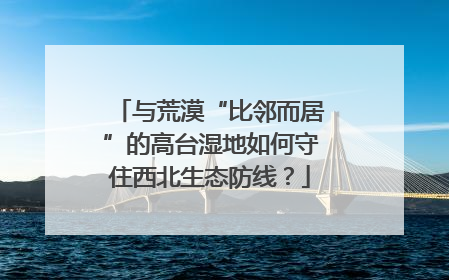 与荒漠“比邻而居”的高台湿地如何守住西北生态防线？