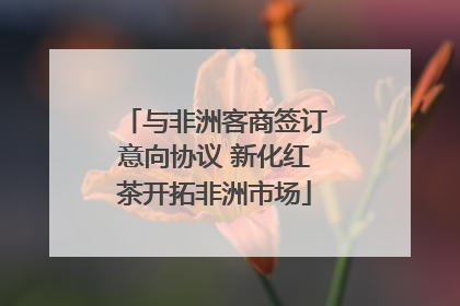 与非洲客商签订意向协议 新化红茶开拓非洲市场